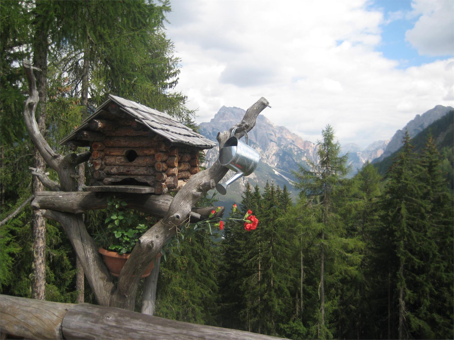 Apartments Ciasa Tlara San Vigilio 9 suedtirol.info
