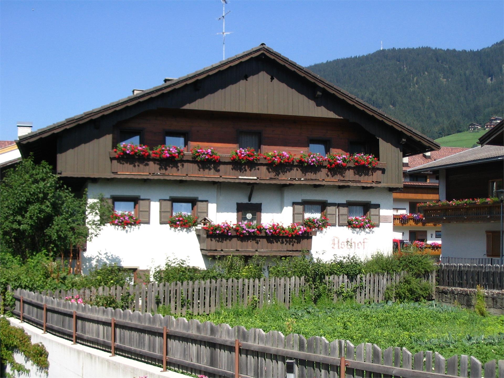 Asthof Innichen 1 suedtirol.info