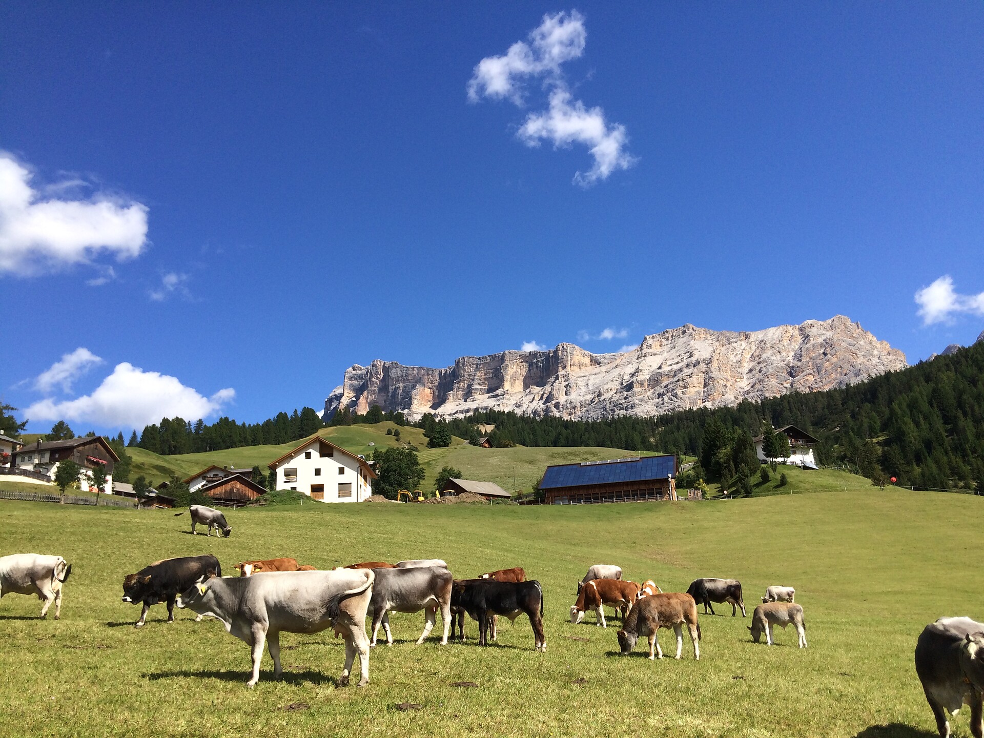 Lüch de Tlara
