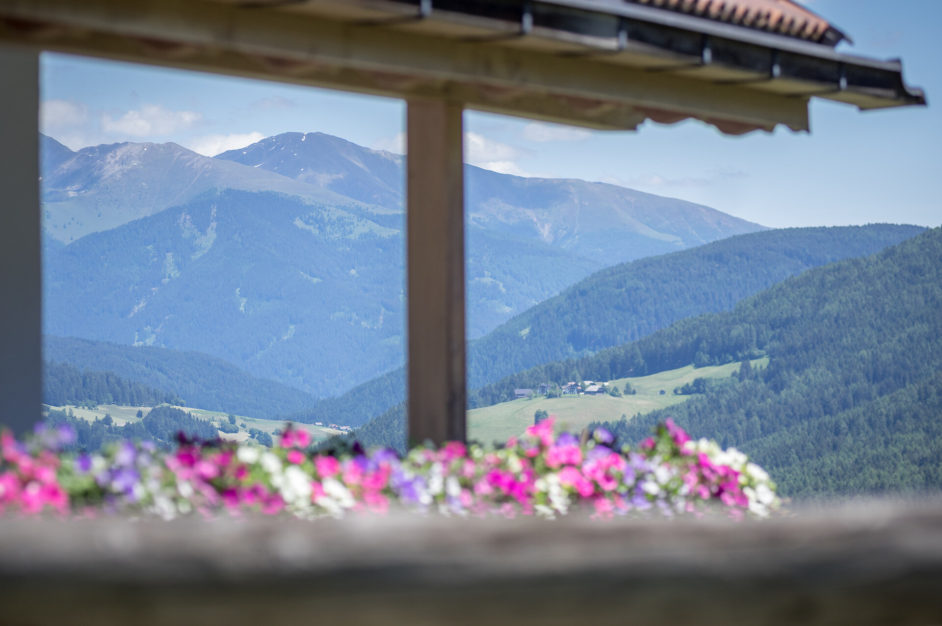 Vista panoramica