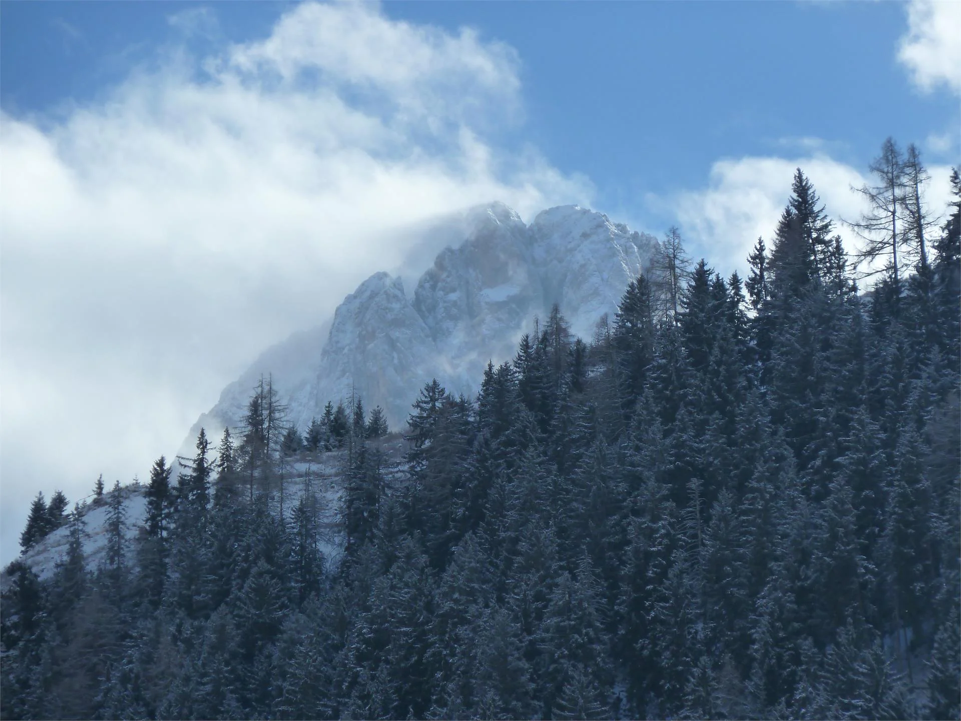 Apartments Dl Pech Santa Cristina Val Gardena 19 suedtirol.info