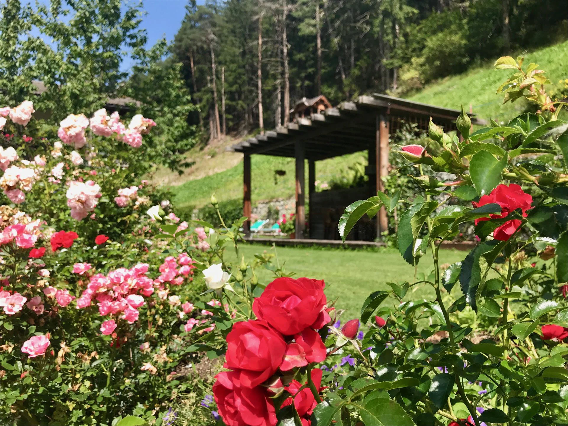 Apartments Dl Pech Santa Cristina Val Gardena 18 suedtirol.info