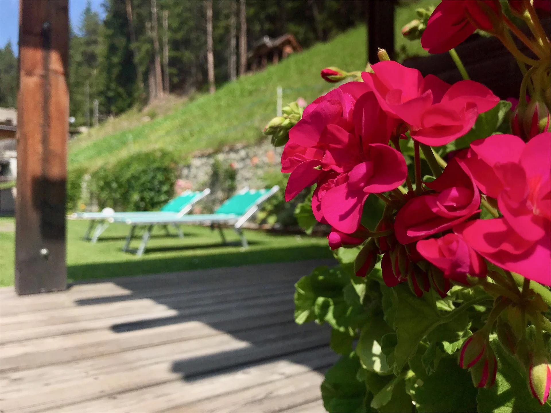 Apartments Dl Pech Santa Cristina Val Gardena 16 suedtirol.info
