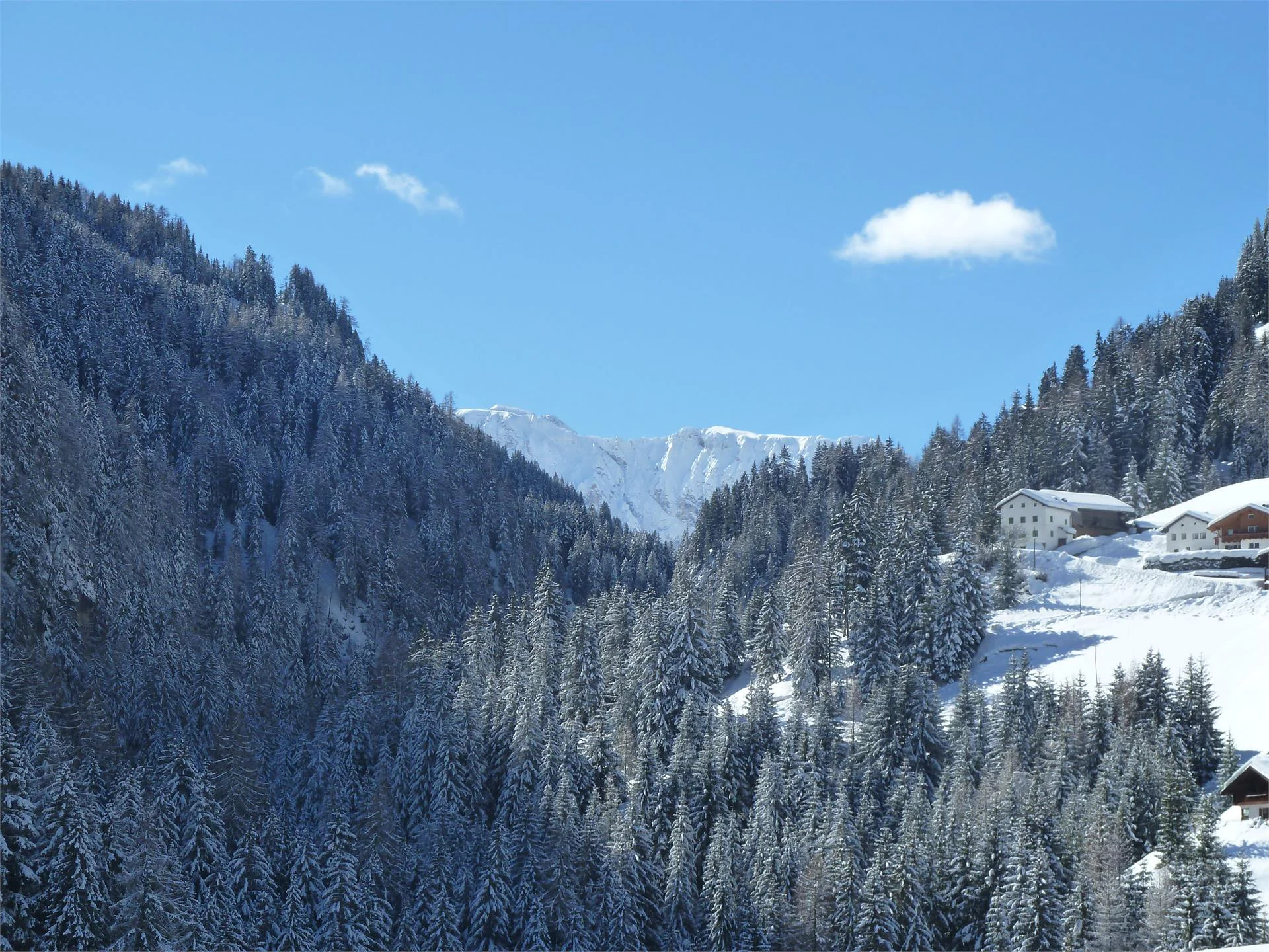 Apartments Dl Pech Santa Cristina Val Gardena 20 suedtirol.info