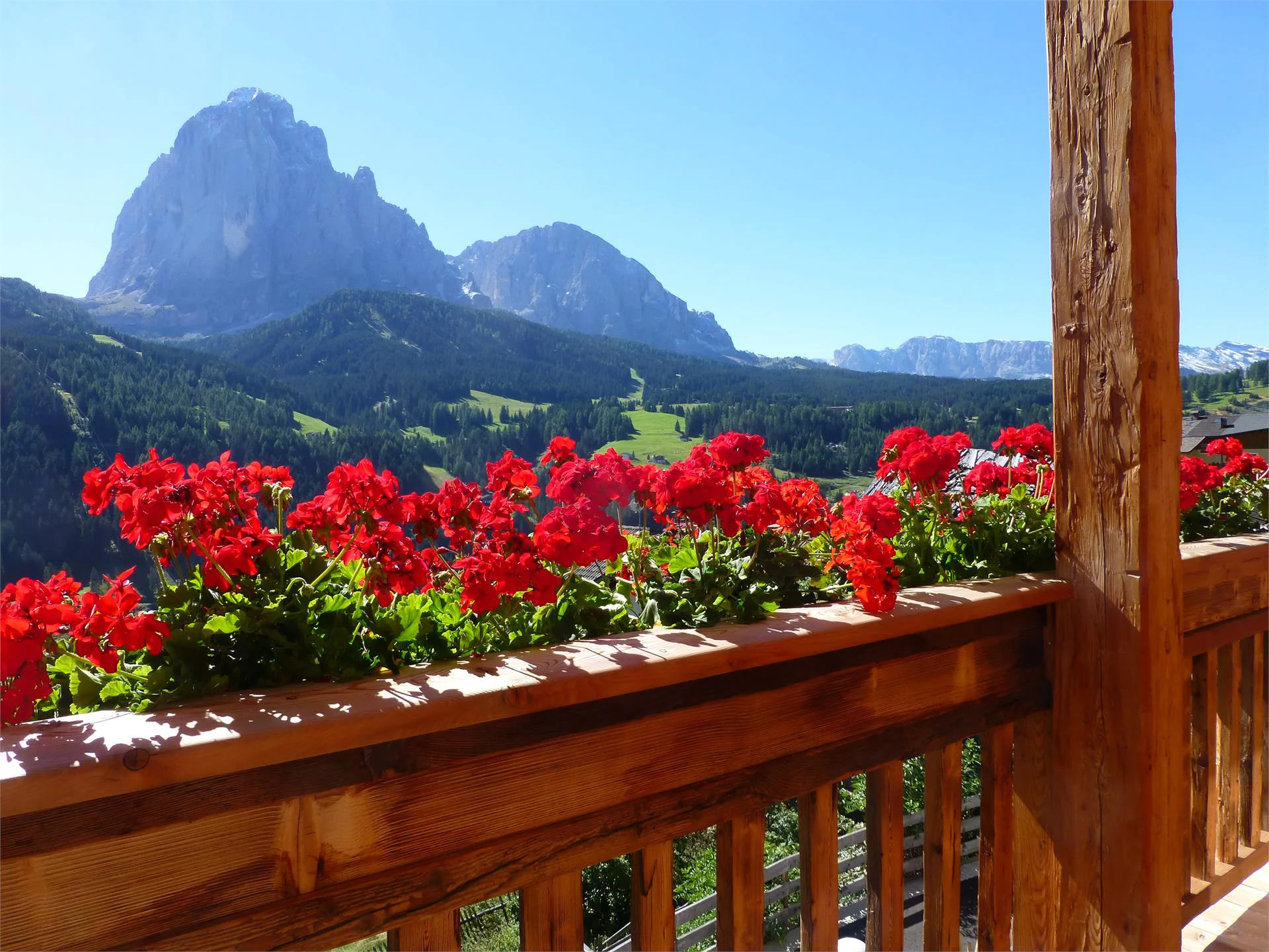 Apartments Antermejes S.Crestina Gherdëina/Santa Cristina Val Gardana 16 suedtirol.info