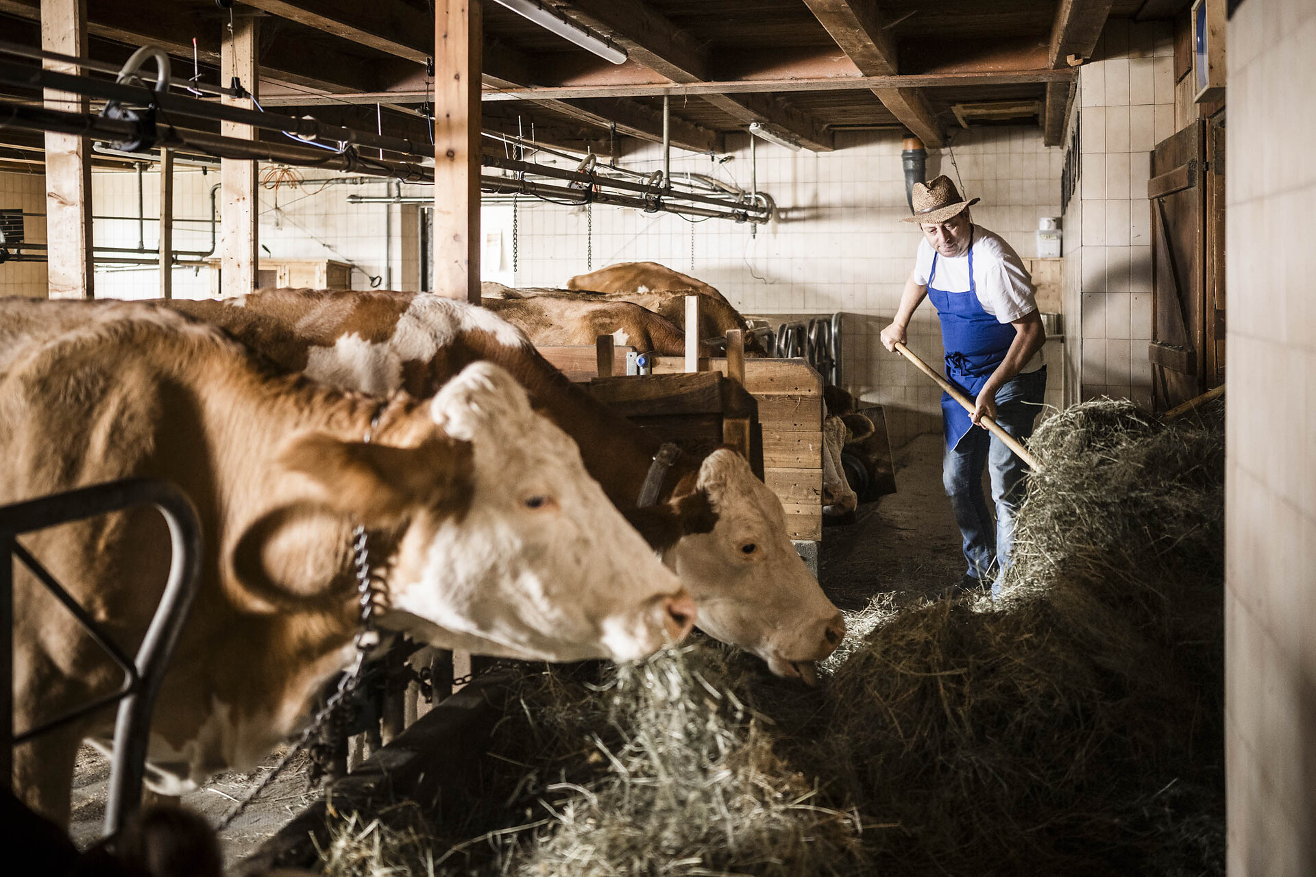 In the barn