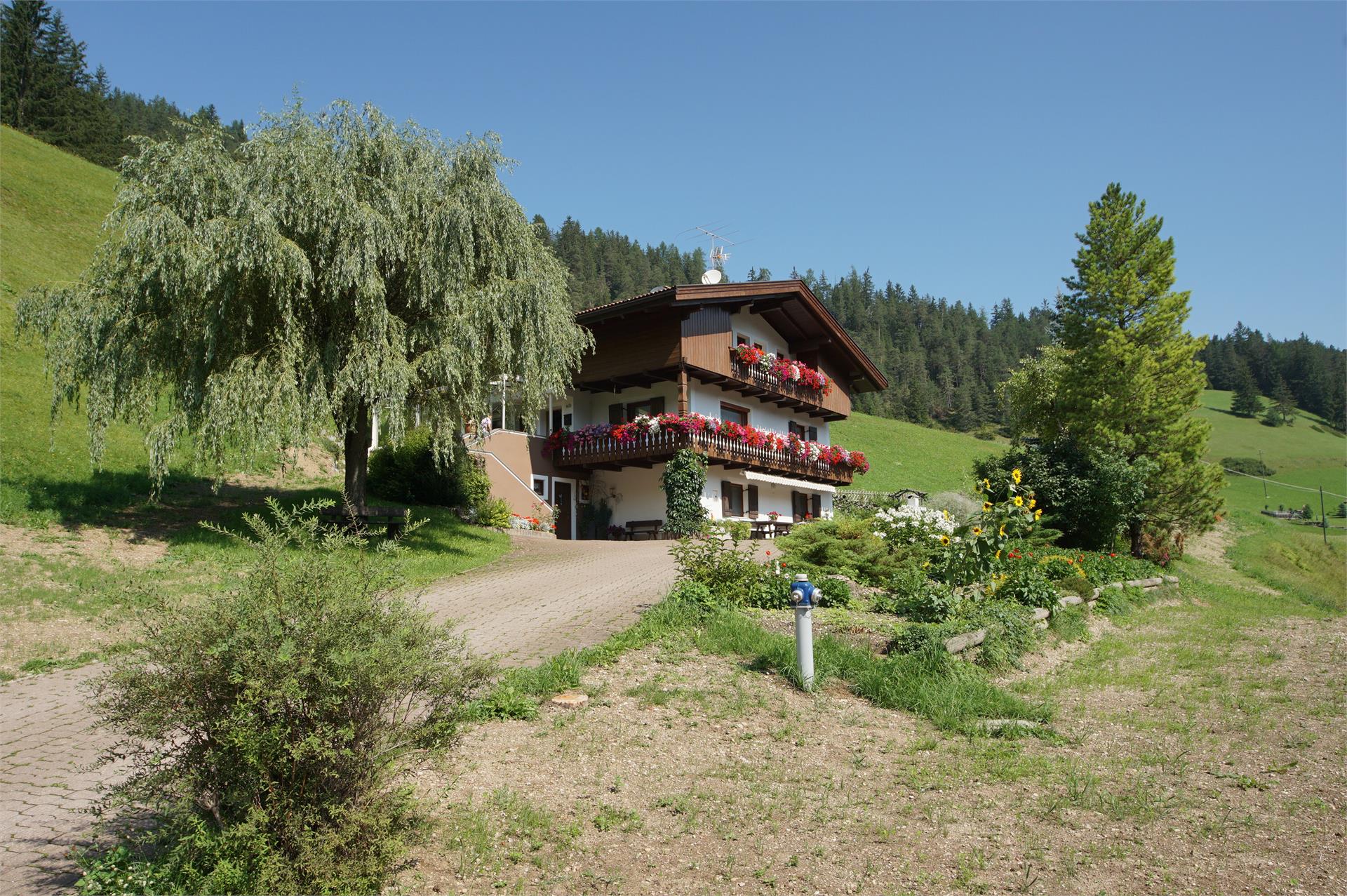 Apartments Fiung - Bauernhof San Martin 3 suedtirol.info