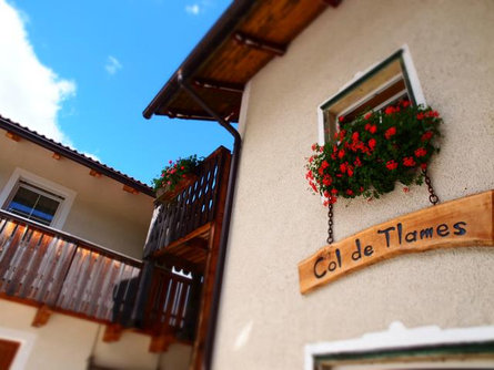 Apartments Col de Tlames - Farm Holiday San Martin /San Martino 9 suedtirol.info