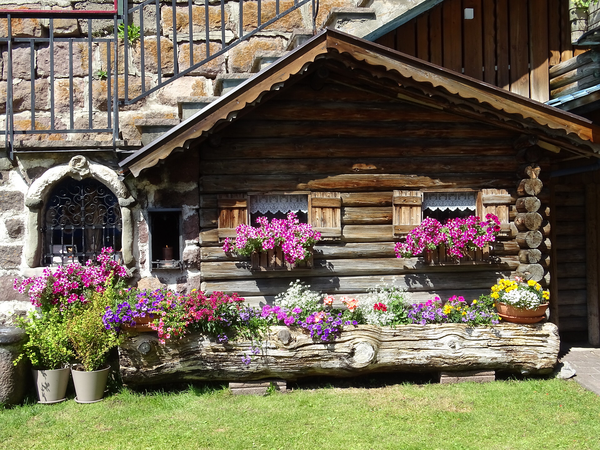 giardino