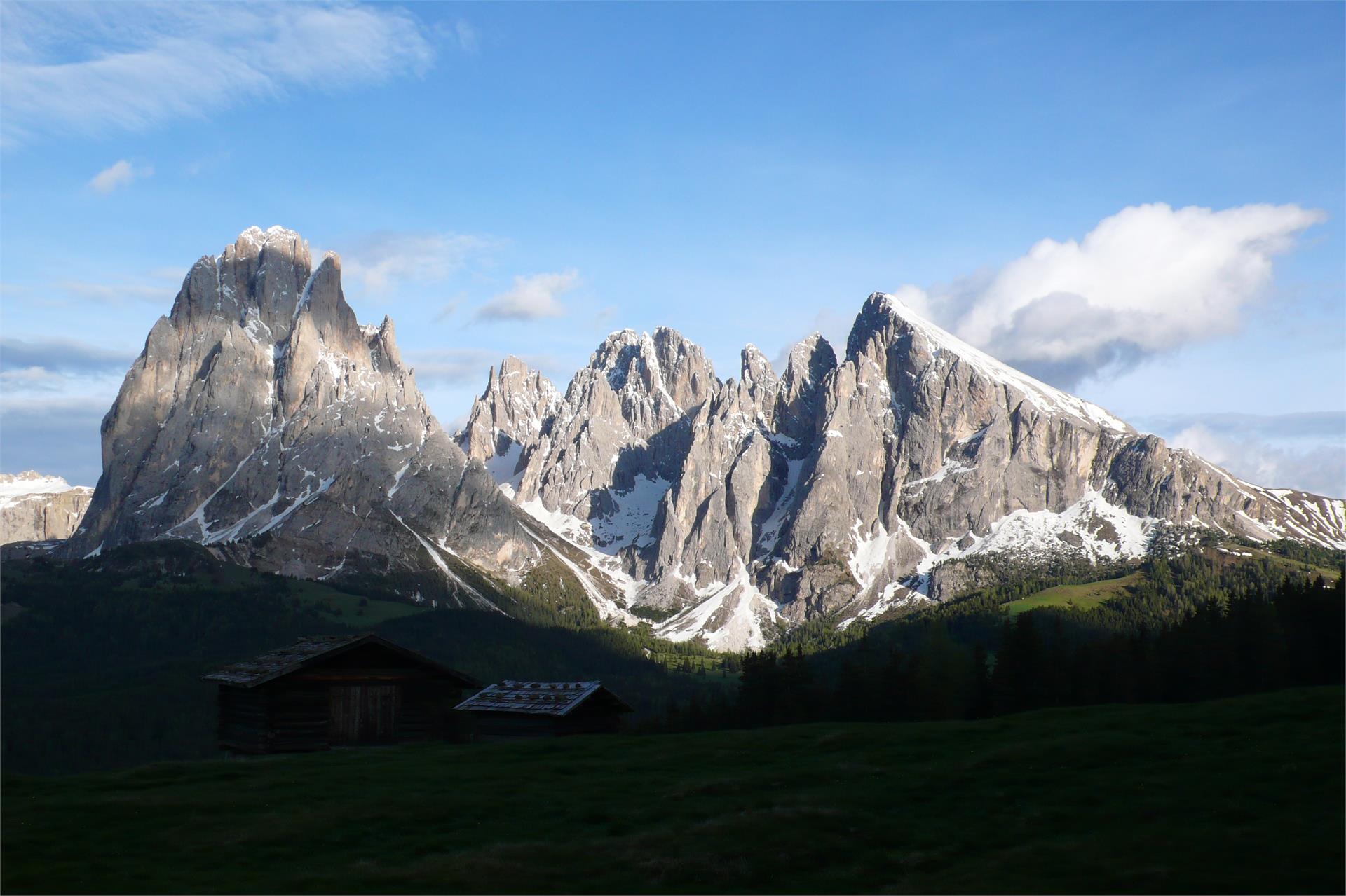 Apartments Arnica Ortisei 10 suedtirol.info
