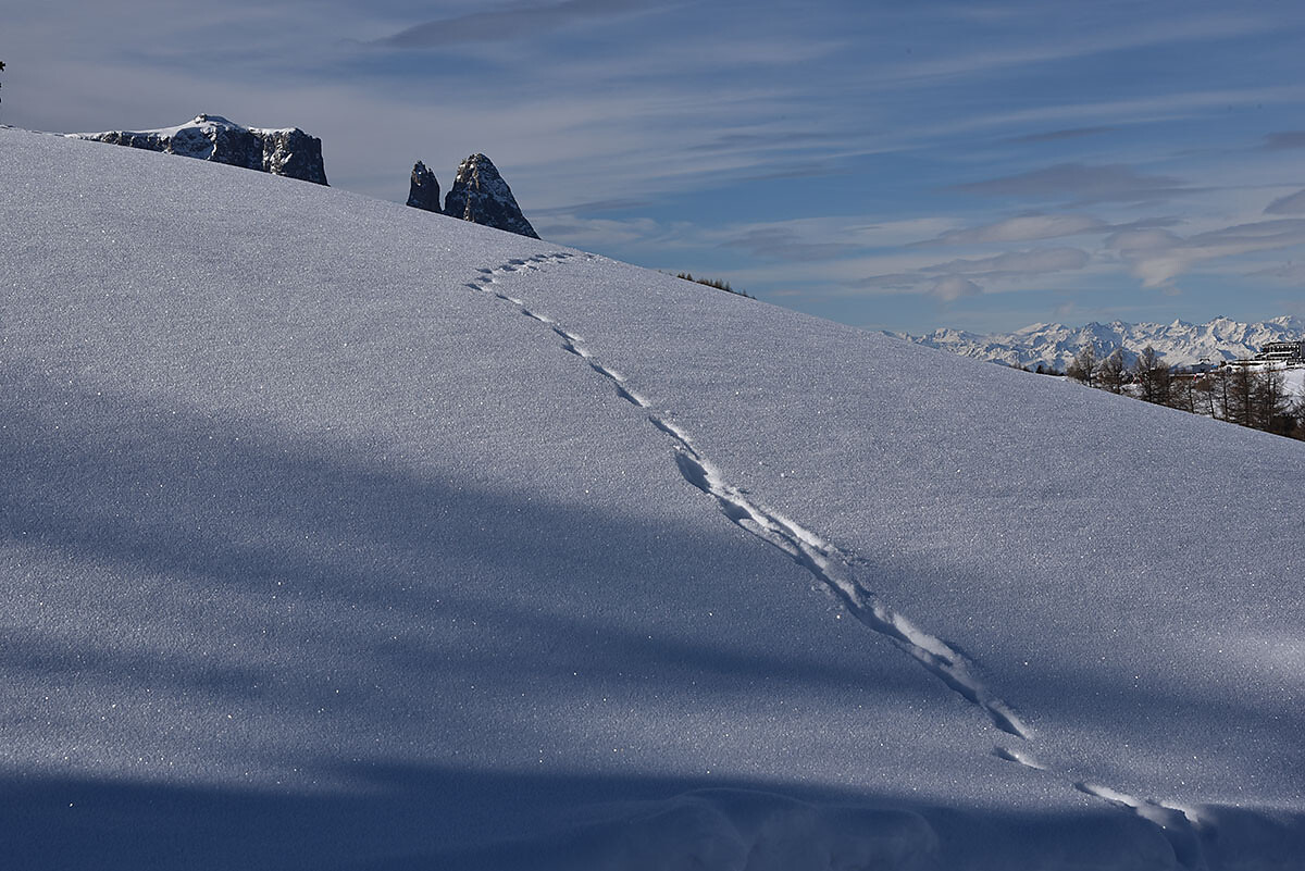 Alpe di Siusi