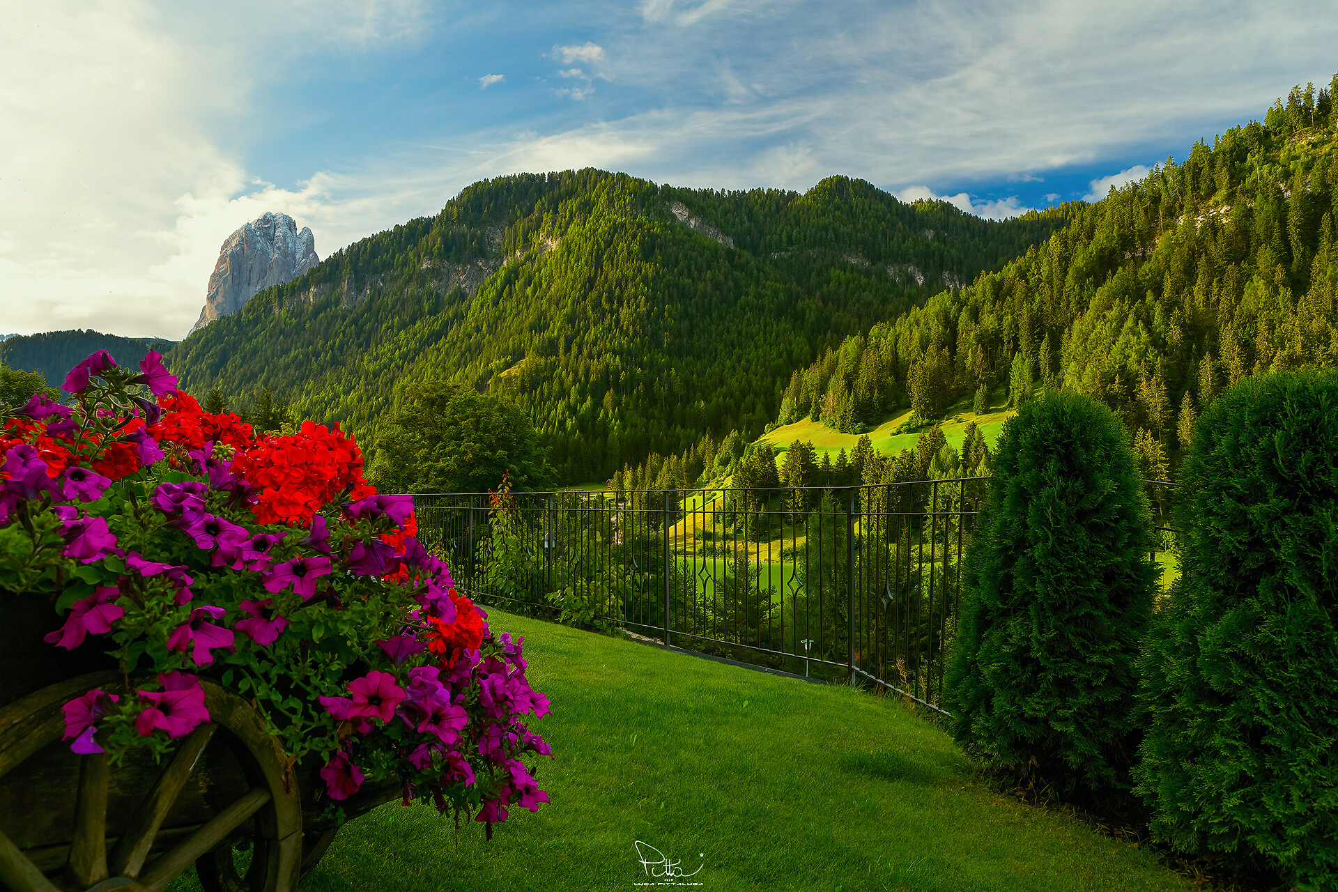 Garden