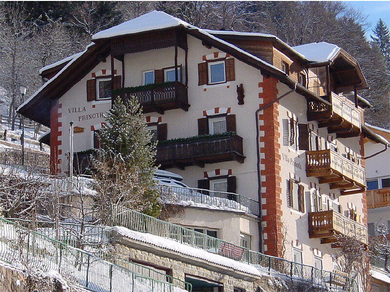 Apartments Villa Prinoth - Dolomites Region Val Gardena - #1 - suedtirol.info