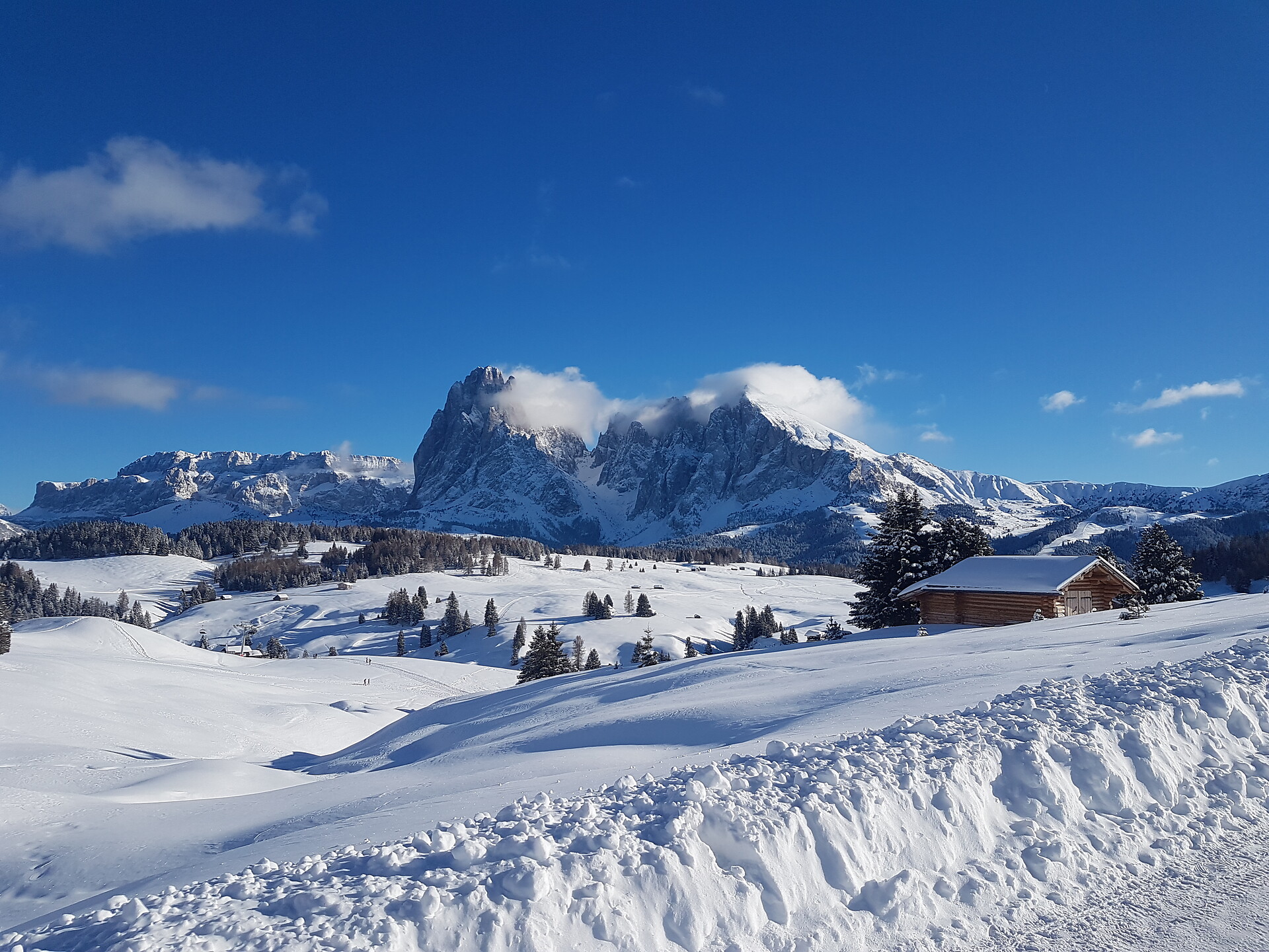 panorama