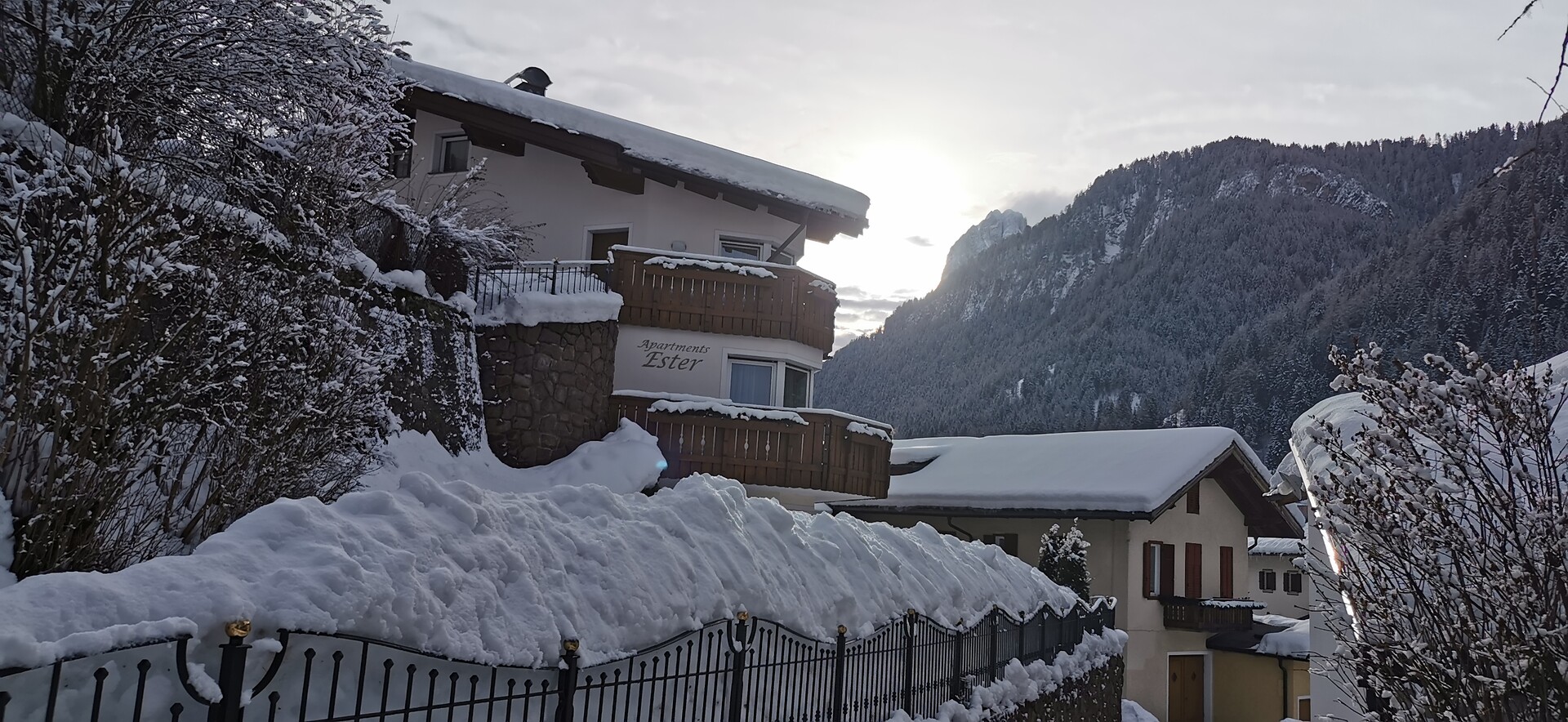 Winter picture