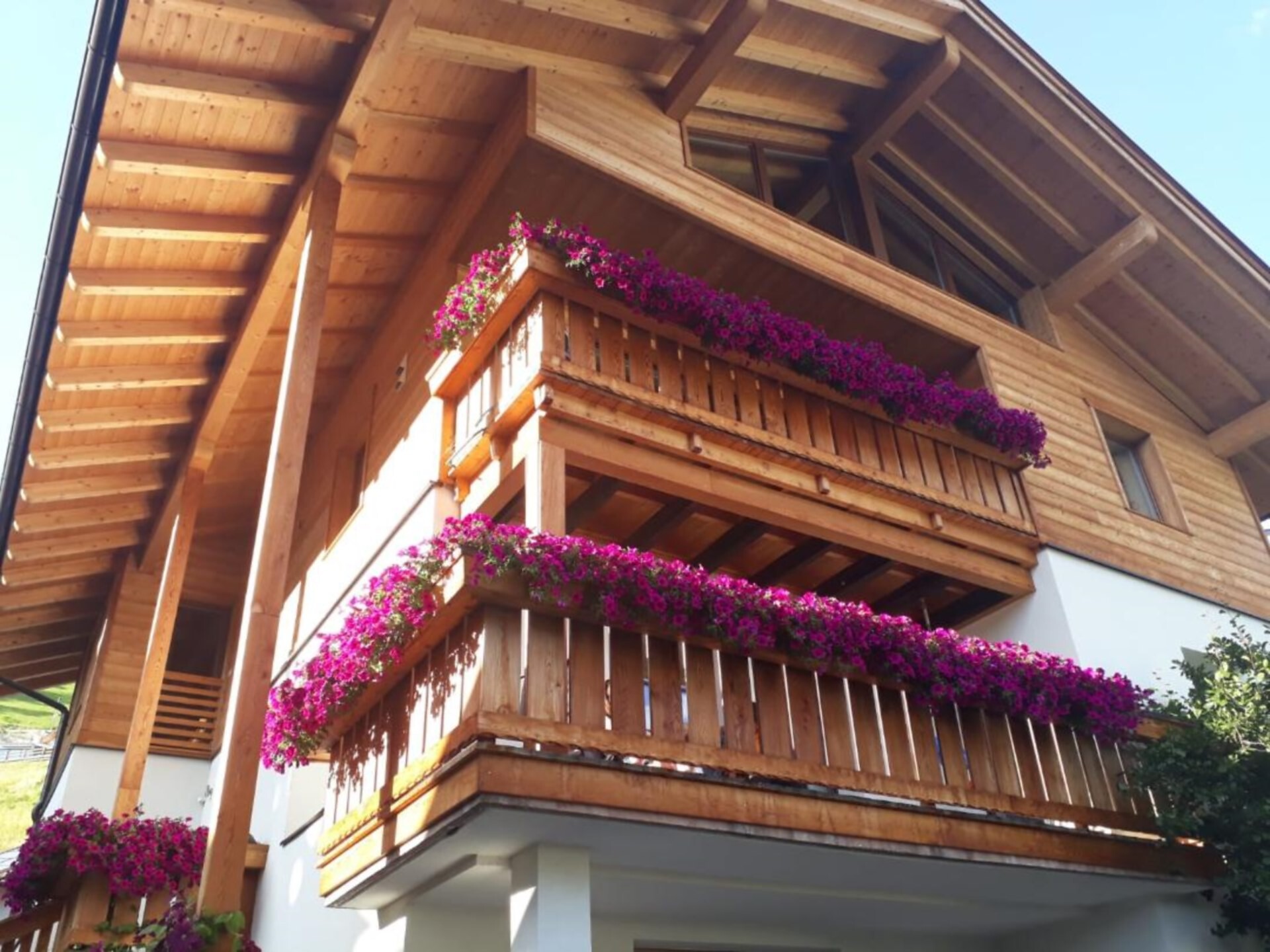 Apartments Ivo