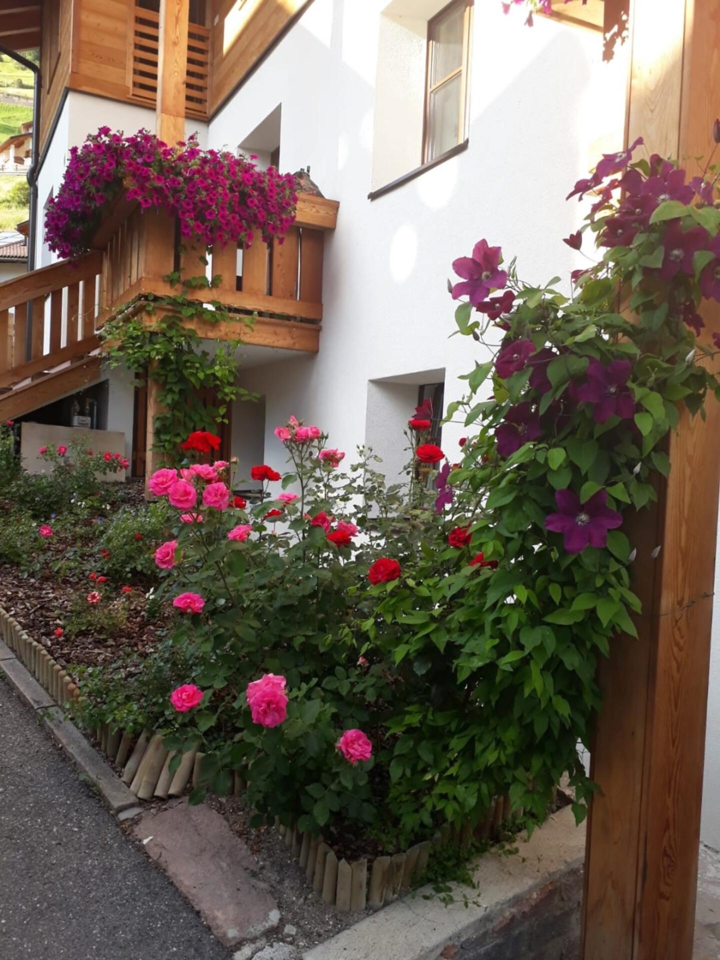 Apartments Ivo