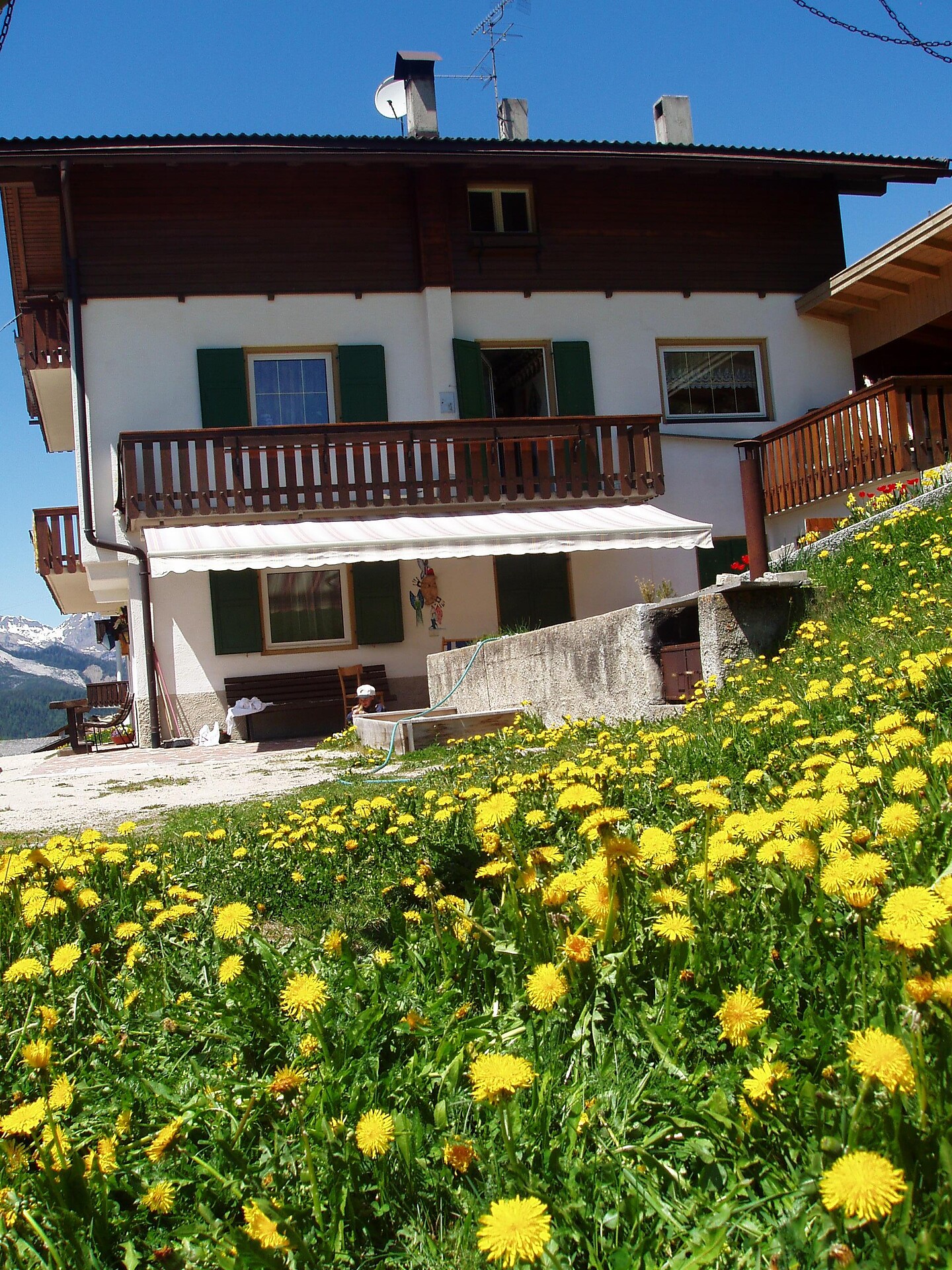 Casa Canins