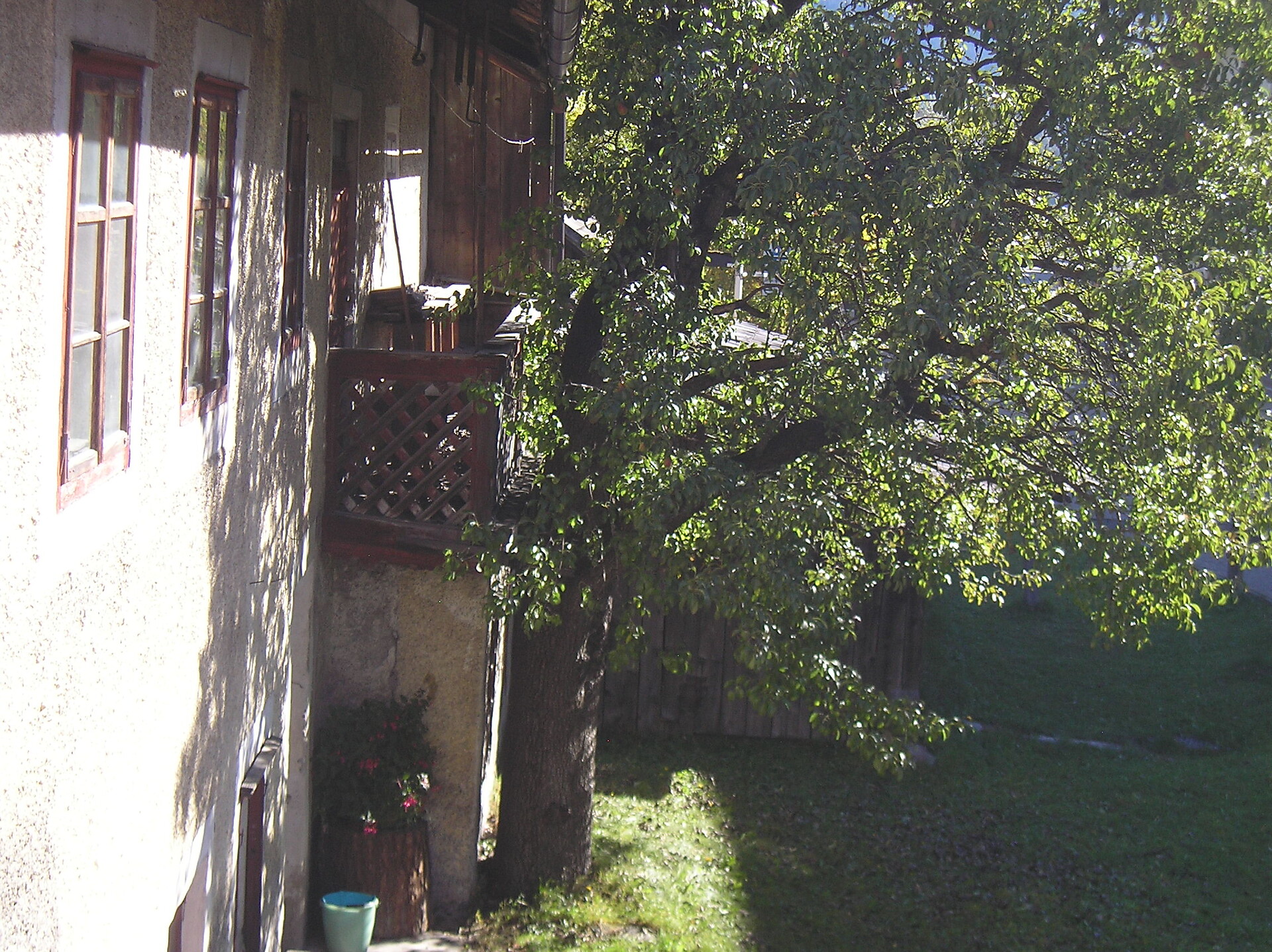 panorama