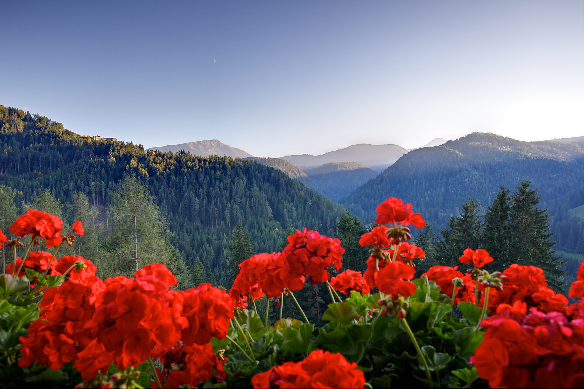 Vista