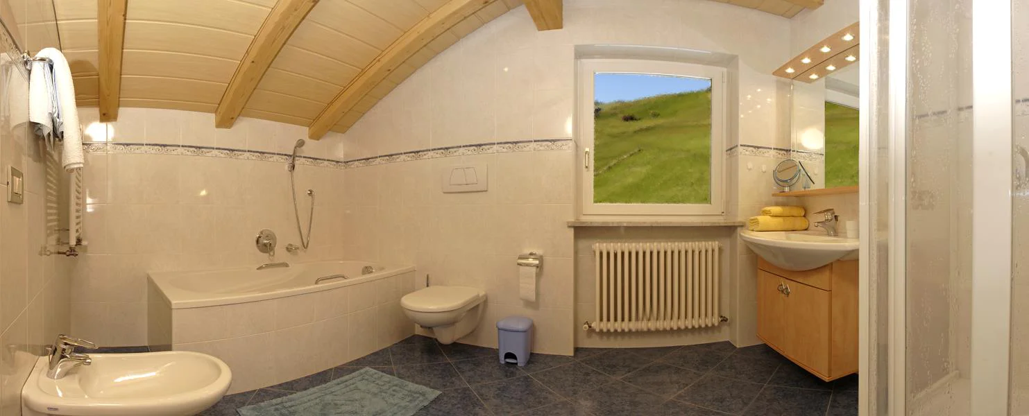 Apartments Roman S.Crestina Gherdëina/Santa Cristina Val Gardana 10 suedtirol.info