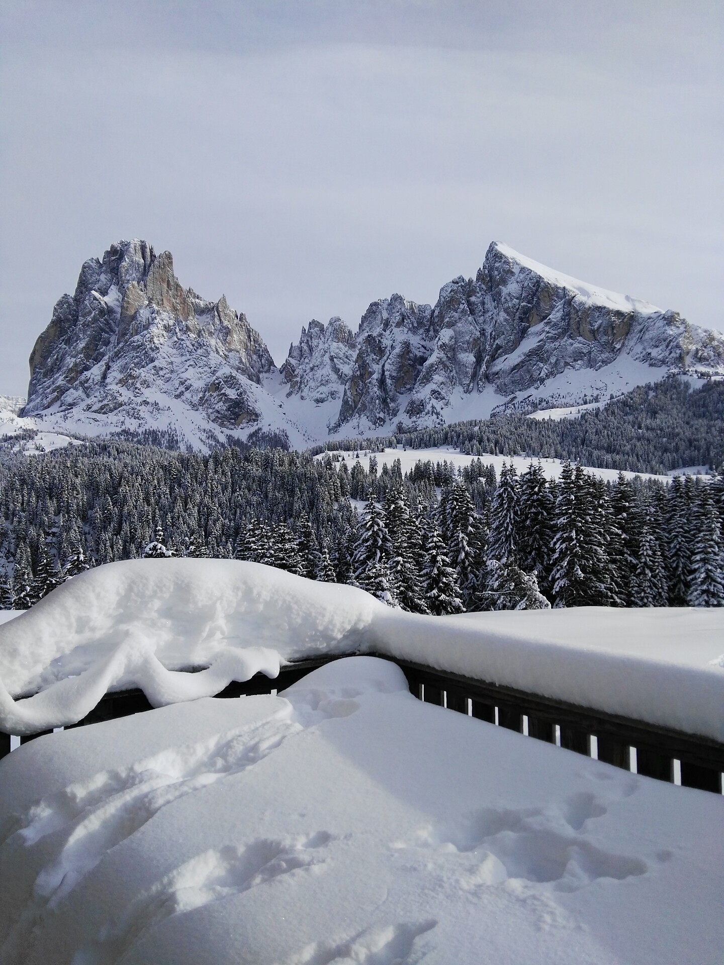 Alpine Chalet Aurora Dolomites