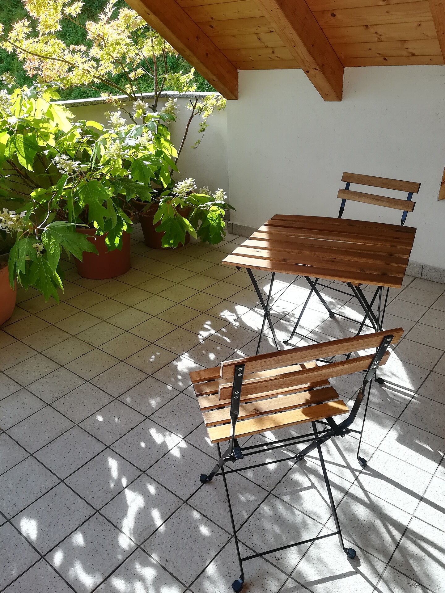 Apartment Minna
