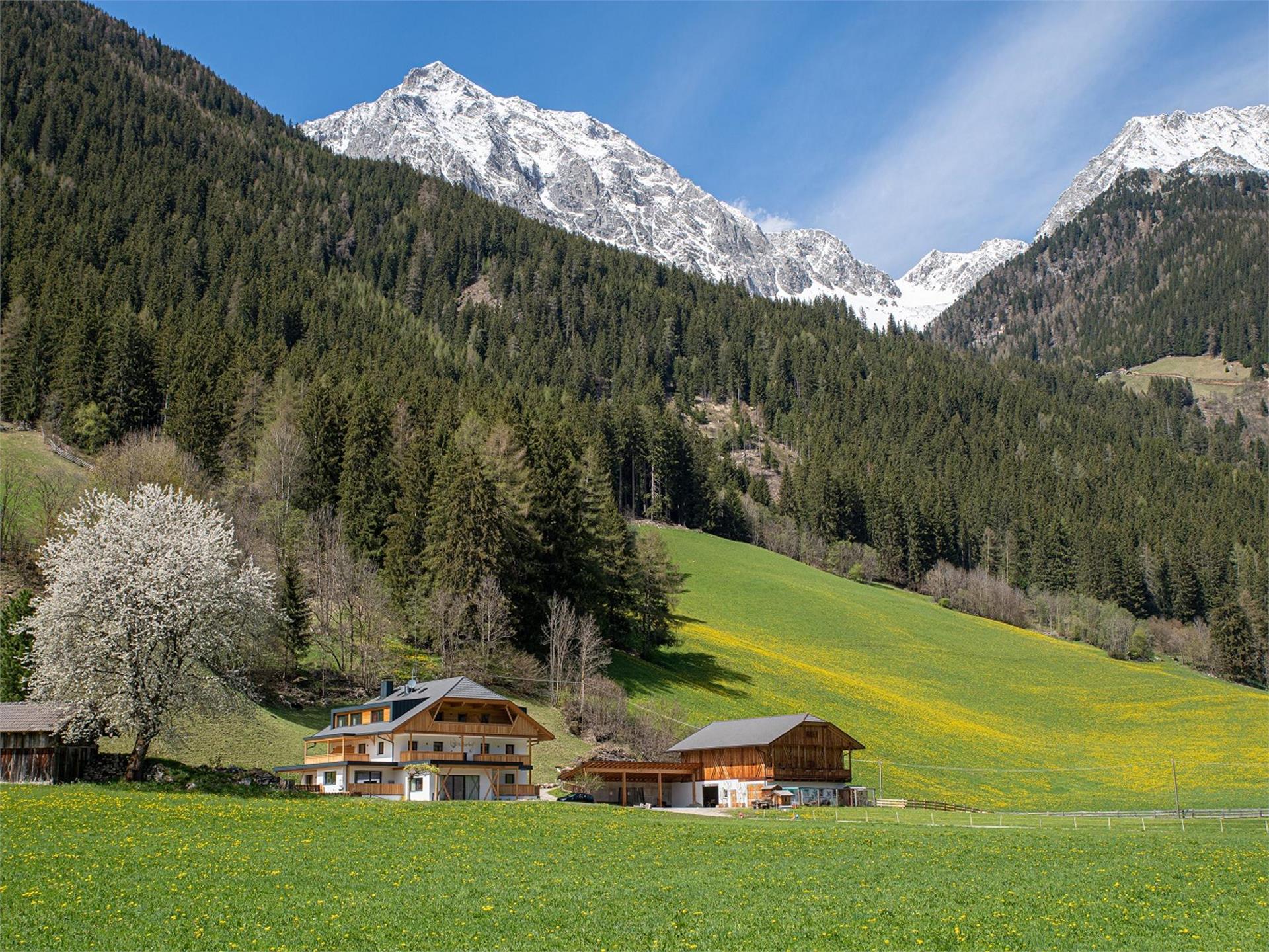 Appartment Hirberhof Rasen-Antholz 1 suedtirol.info