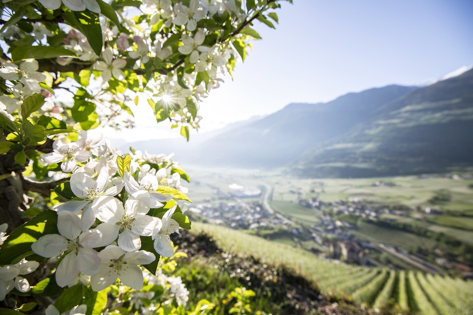 Frühling Südtirol