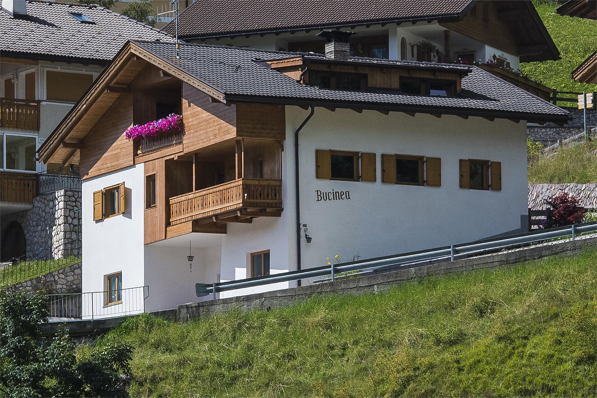 Apartments Bucinea