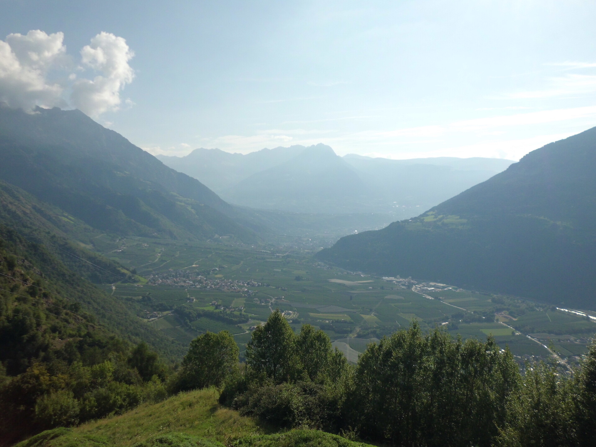 panorama