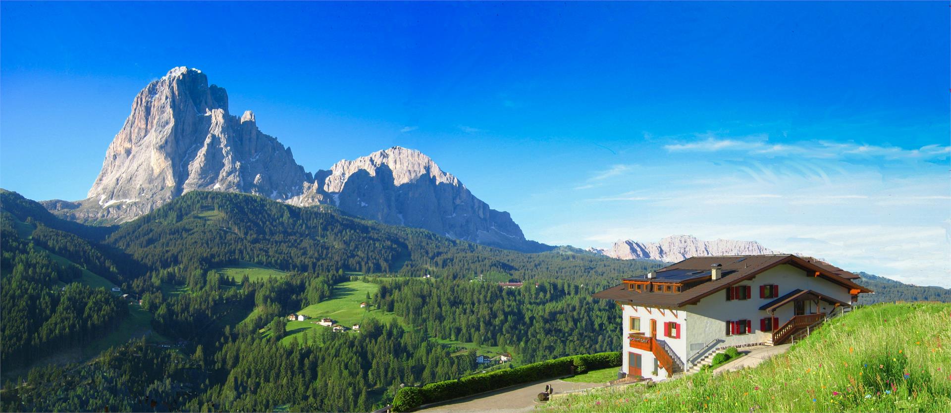 Apartments Bauer Dolomiti S.Crestina Gherdëina/Santa Cristina Val Gardana 1 suedtirol.info