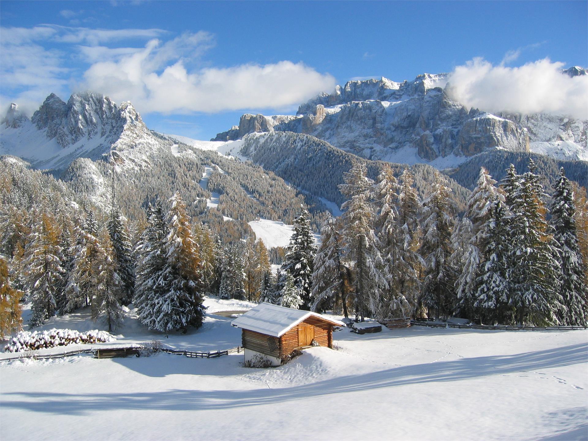 Apartments Neuhaus - Agriturismo Selva 26 suedtirol.info