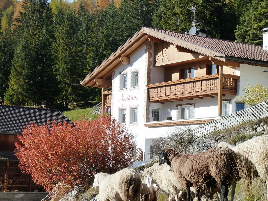 Apartments Neuhaus - Agriturismo Selva 5 suedtirol.info