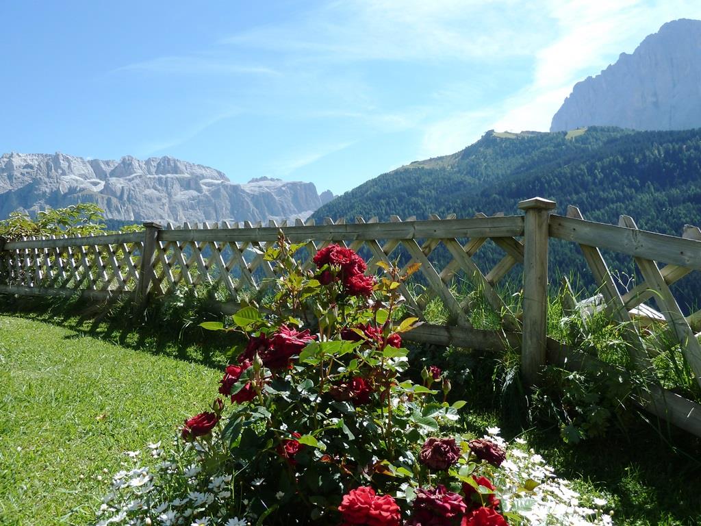 Apartments Neuhaus - Agriturismo Selva 19 suedtirol.info