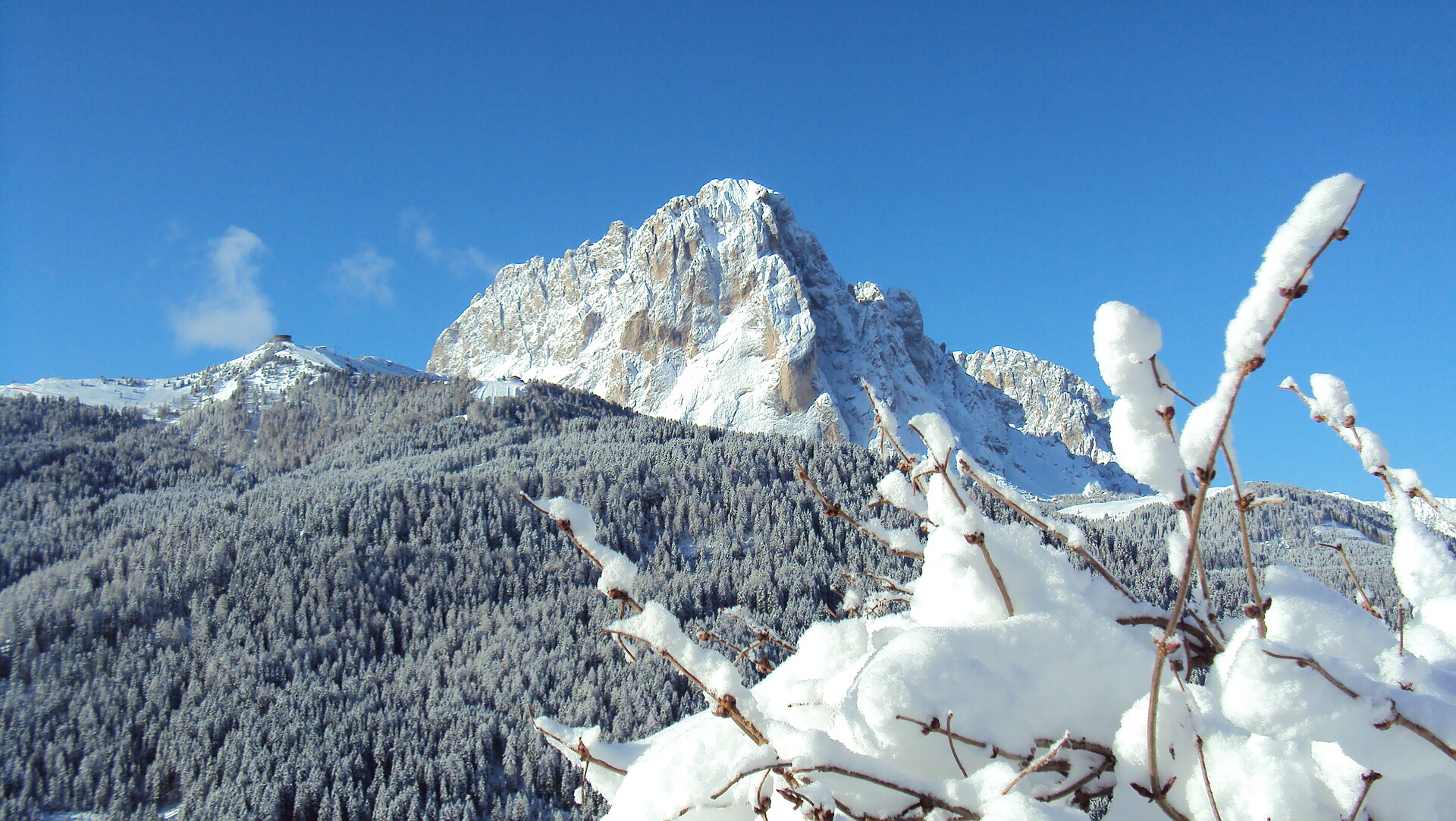 vista panoramica su Sassolungo