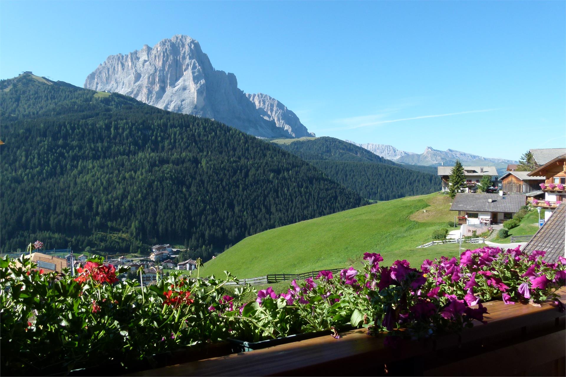 Apartments Neuhaus - Agriturismo Selva 21 suedtirol.info