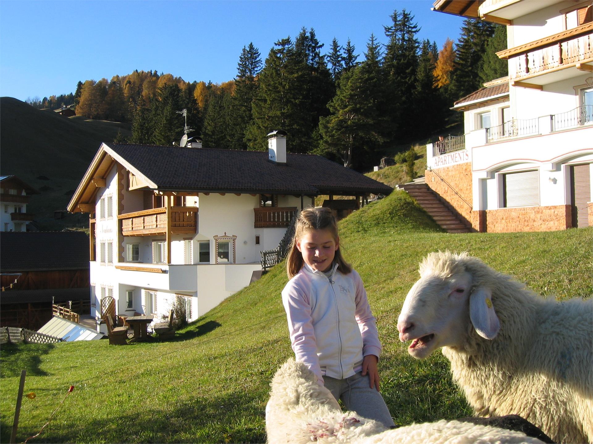 Apartments Neuhaus - Agriturismo Selva 24 suedtirol.info