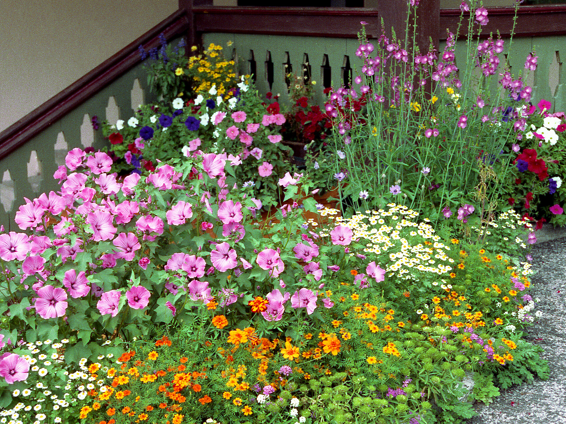 giardino