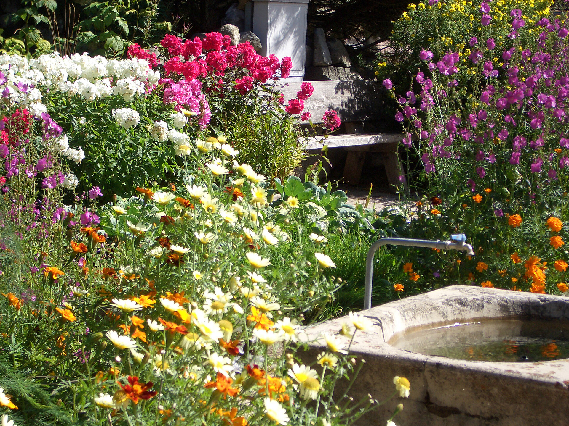 giardino