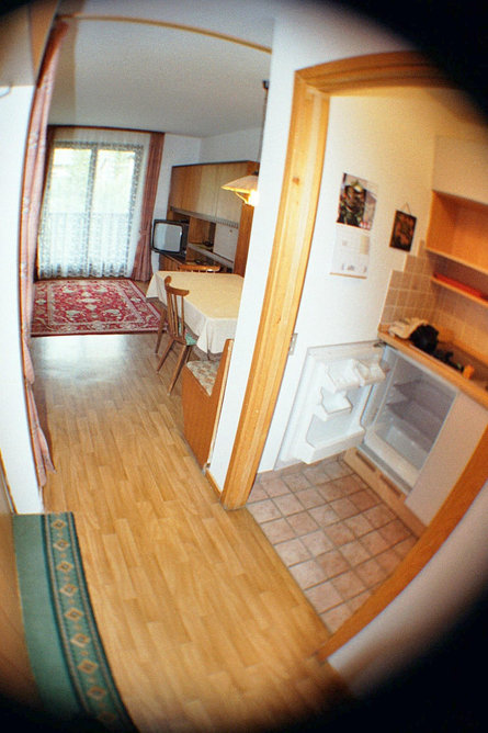 Apartments Dantersass Sëlva/Selva 2 suedtirol.info