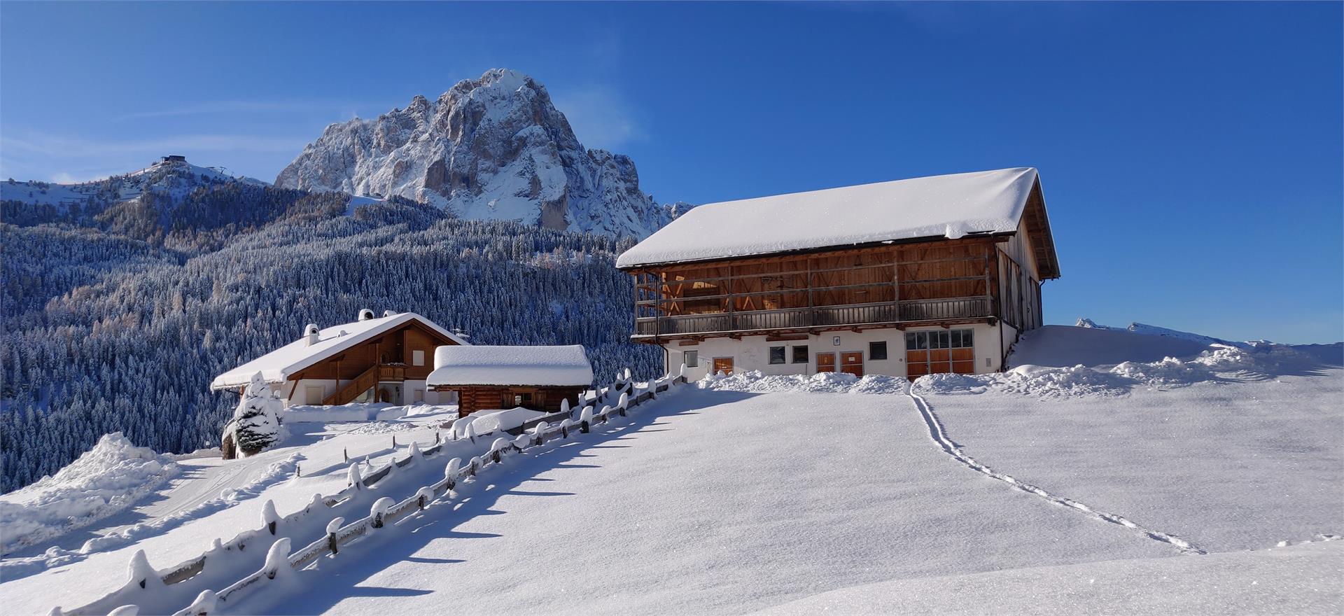 Apartments Gutonhof - Agriturismo Selva 6 suedtirol.info