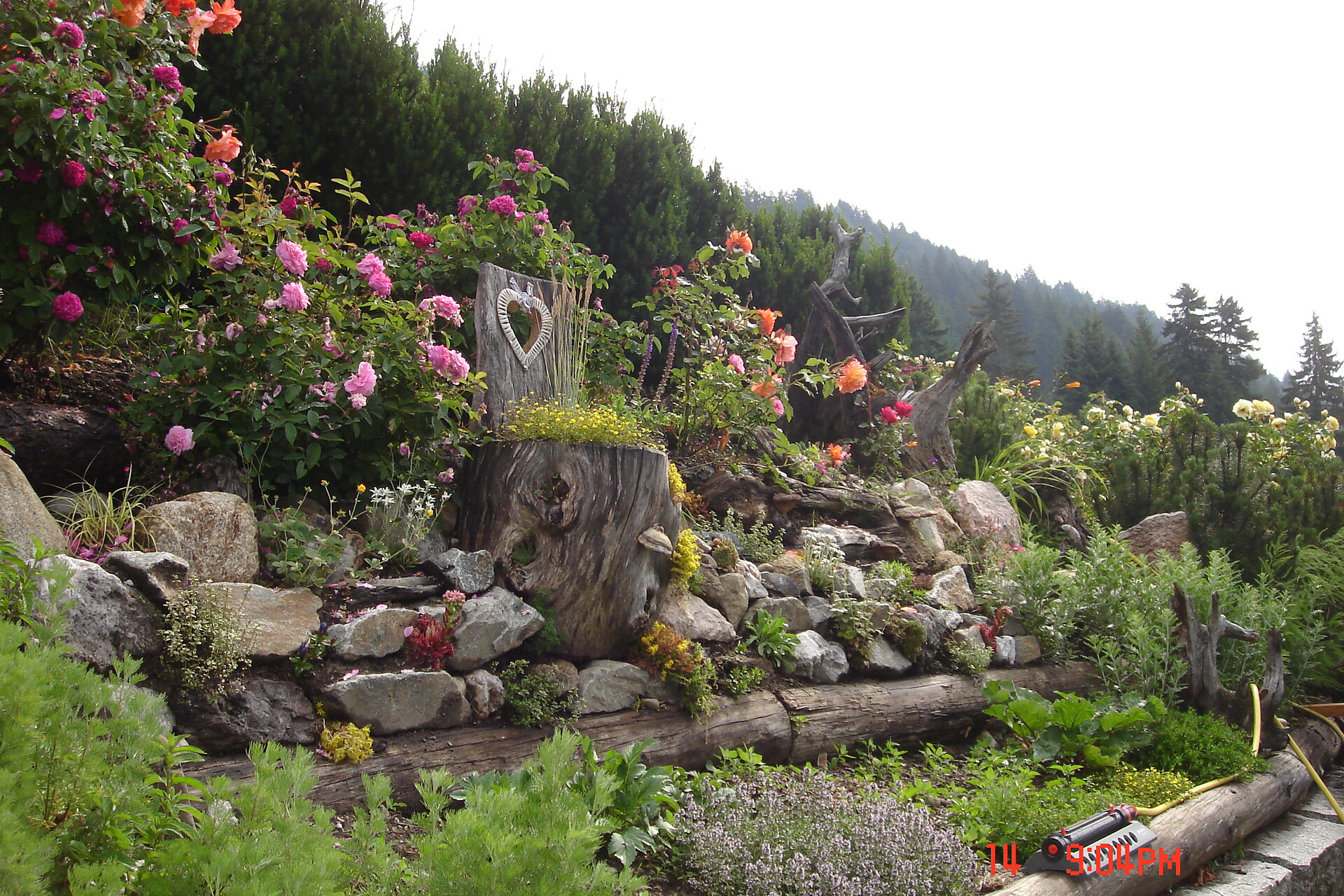 Eden garden