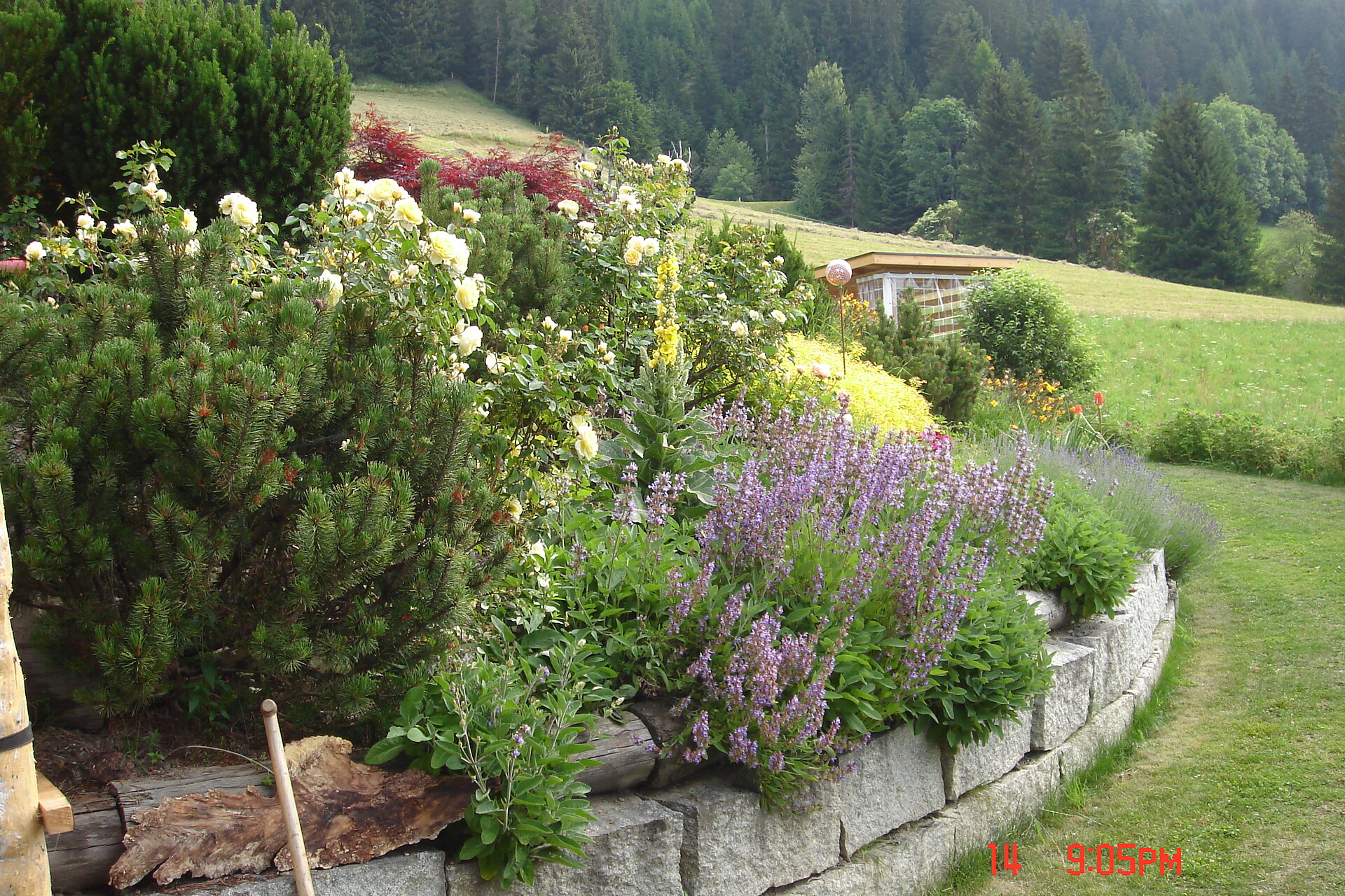 Eden garden