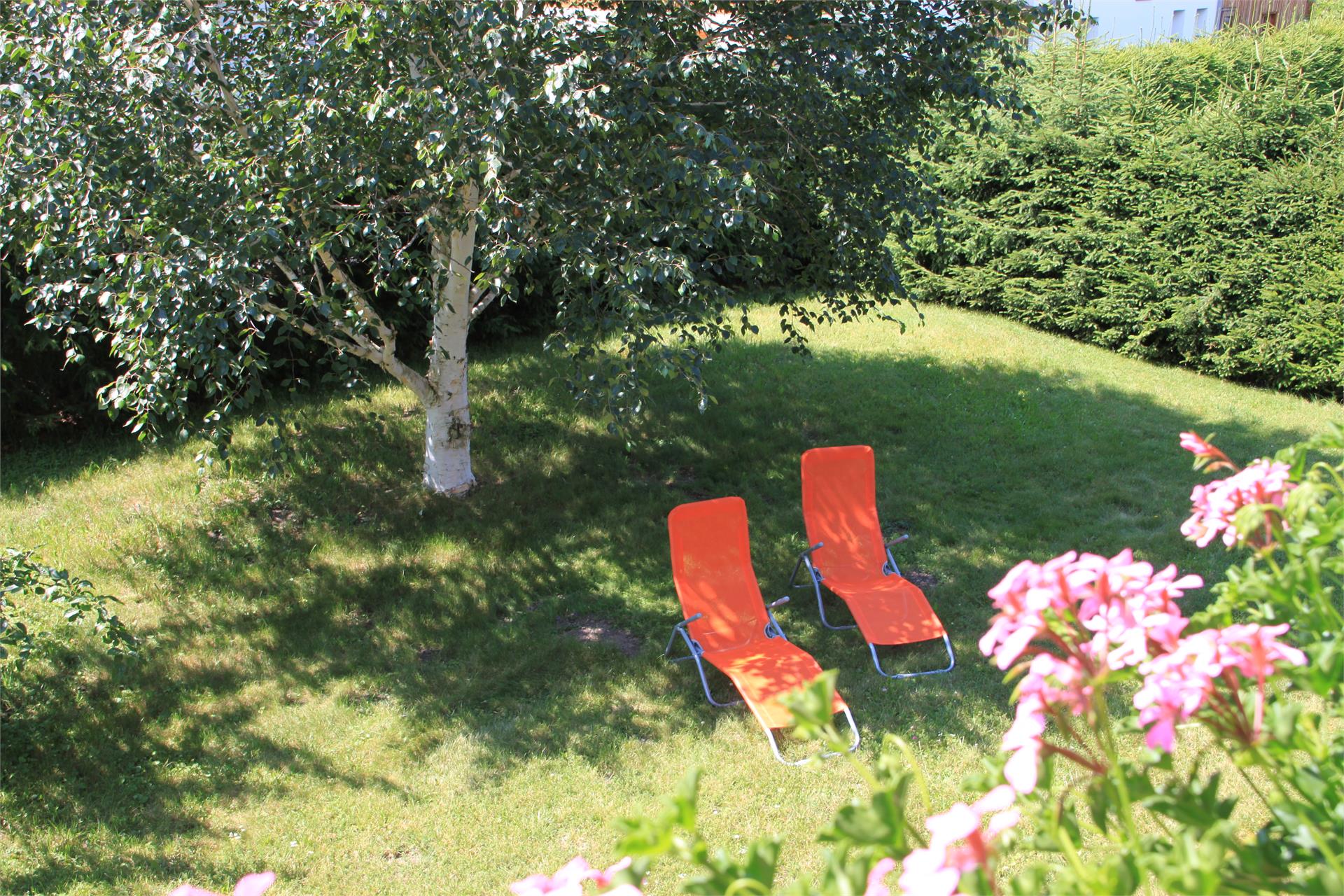 Appartements Schnarf Martin Olang 3 suedtirol.info