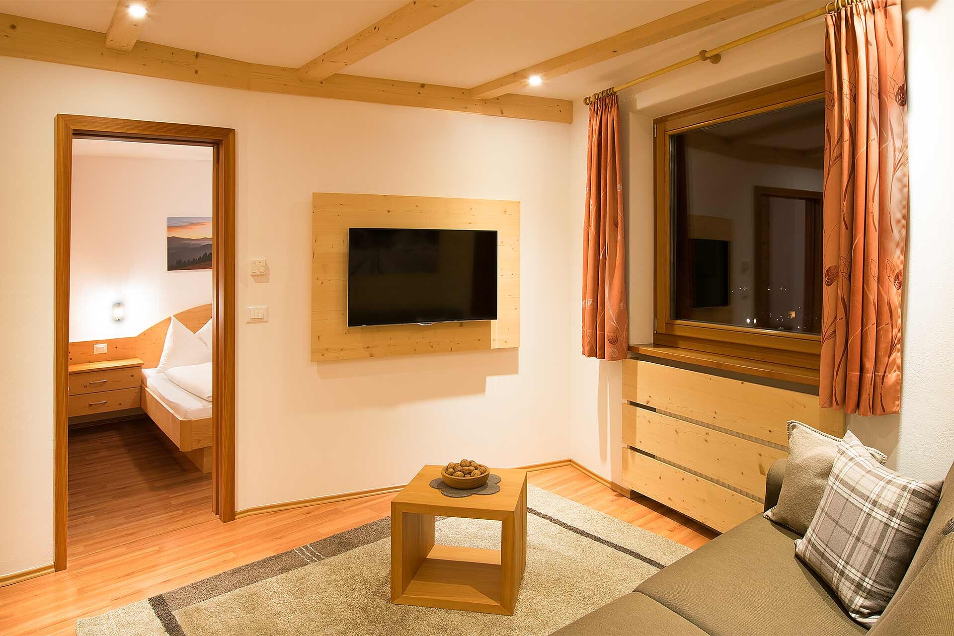 Living room with sofa bed