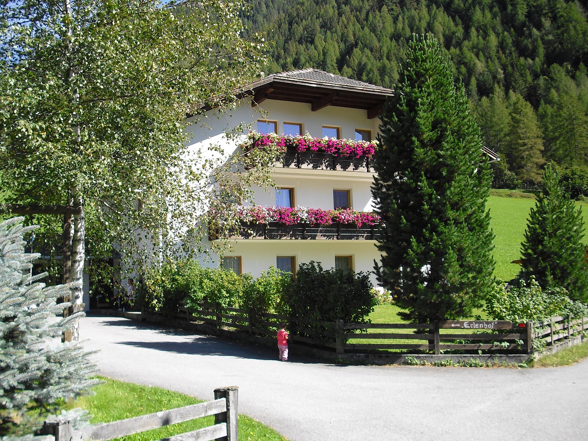 App. Erlenhof II