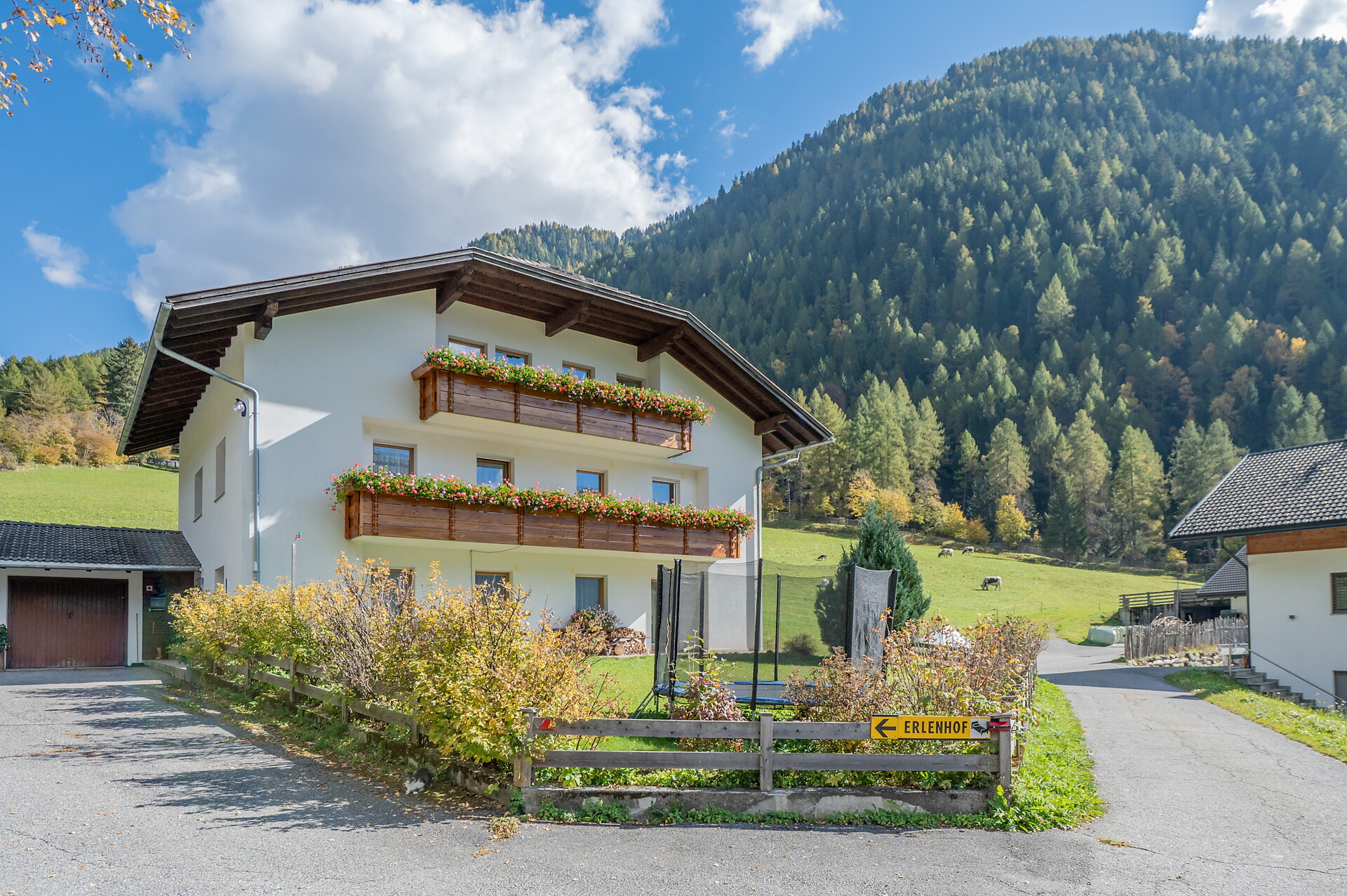 Erlenhof Anterselva di Sopra