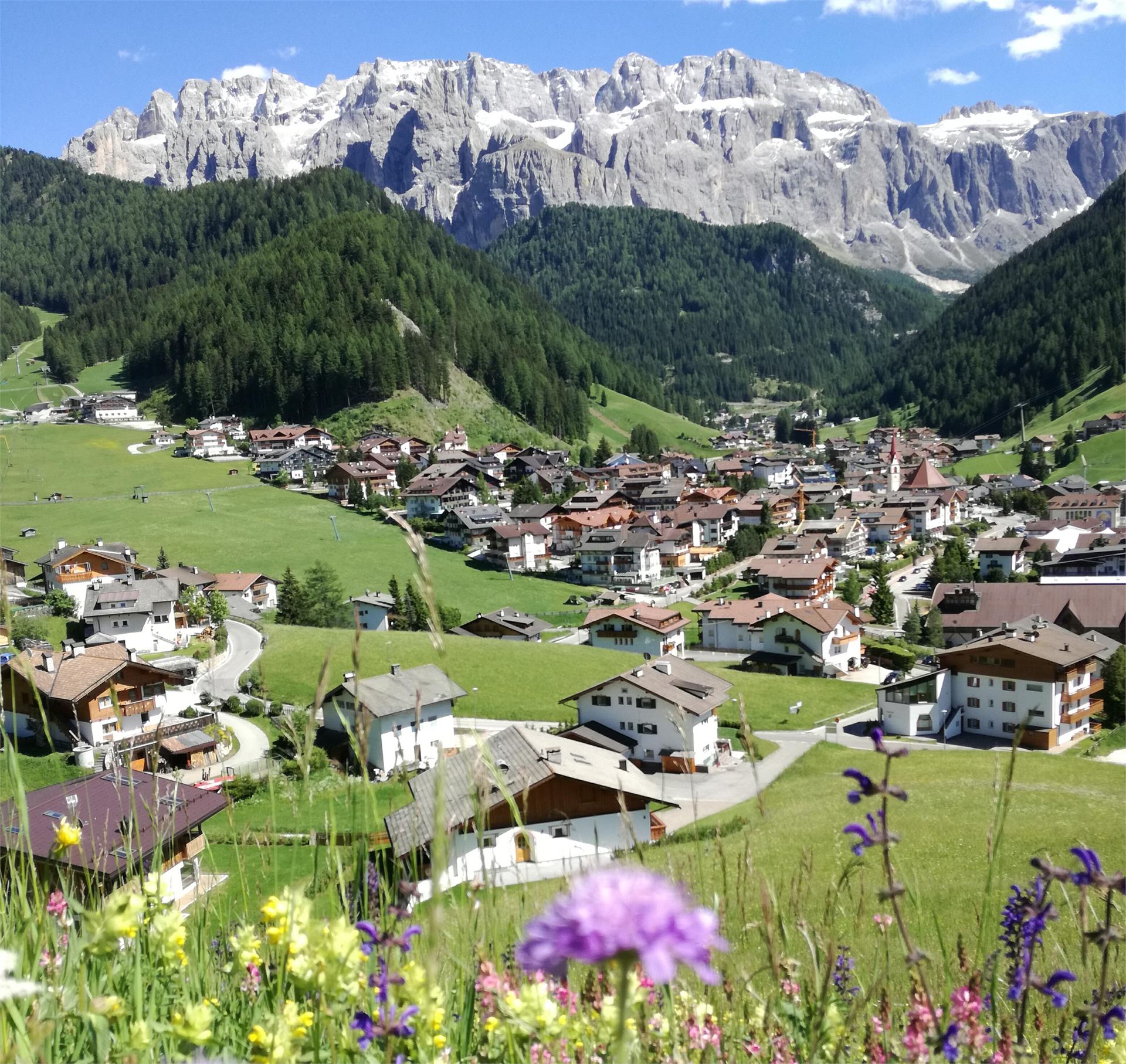 Apartments Wurdengeja - Johanna Selva 18 suedtirol.info