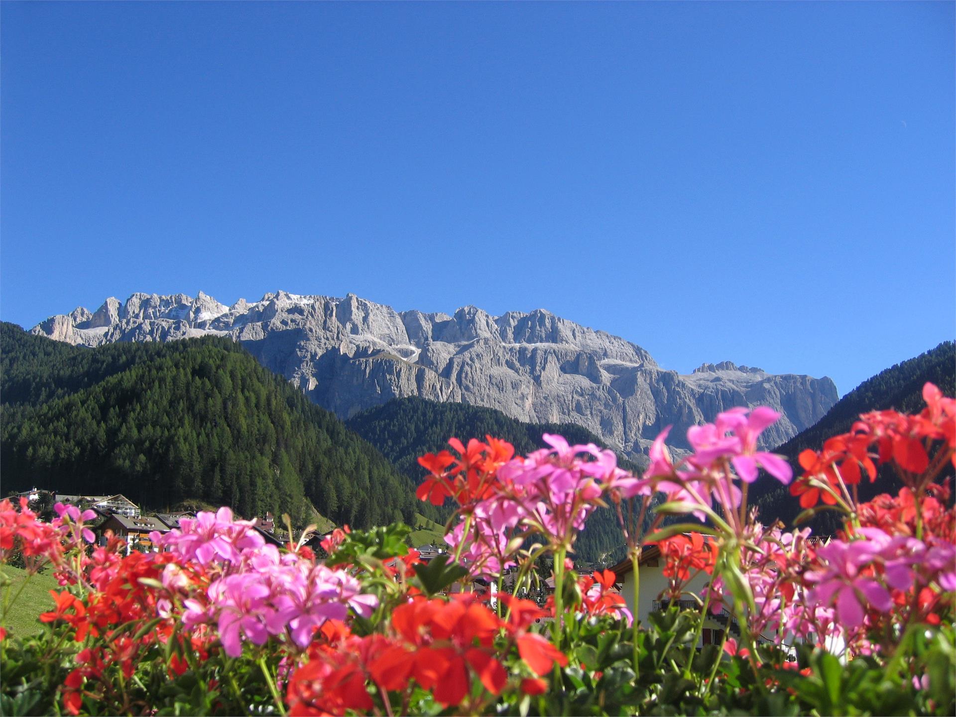 Apartments Wurdengeja - Johanna Selva 15 suedtirol.info